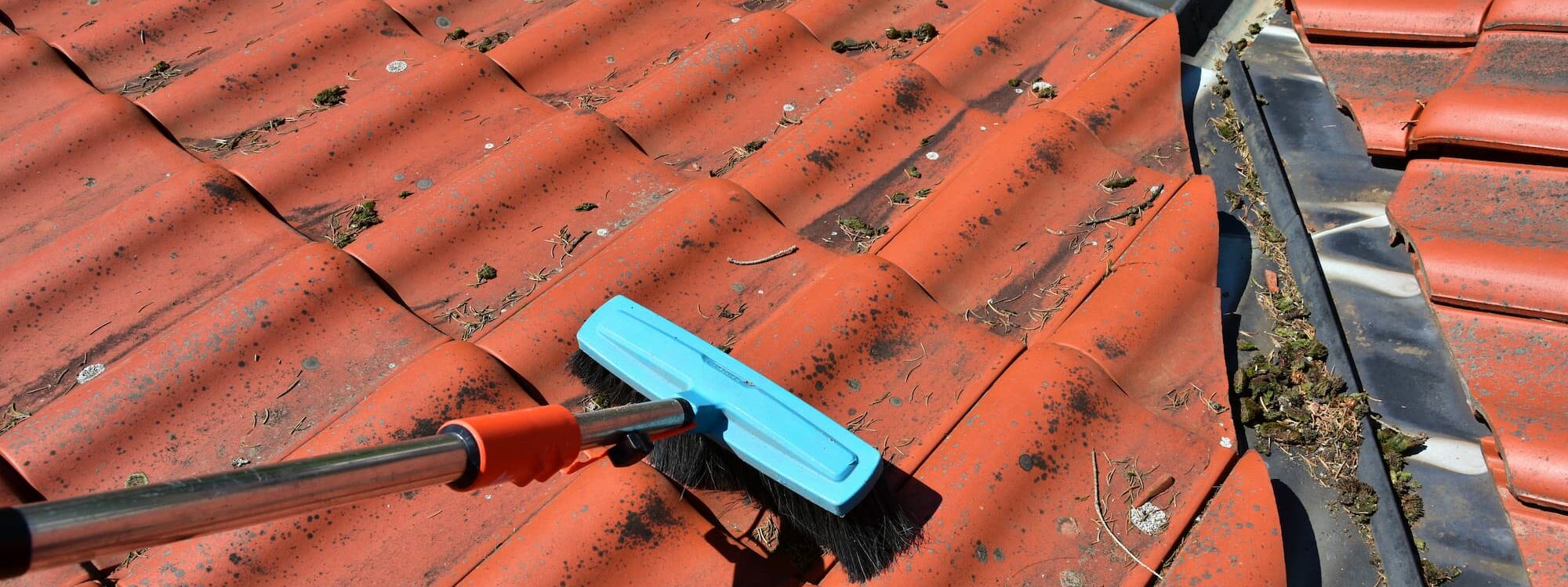 Mousse et lichens sur les tuiles : simple d&eacute;faut esth&eacute;tique ou vrai danger ? Saint-Louis